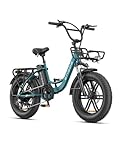 ENGWE E Bike Herren mit 48V 13Ah Batterie, 20 * 4.0 Zoll, 7-Gang Getriebe mit LCD-Display, 250W Motor & 25km/h, Reichweite bis zu 120km L20/L20 Boost